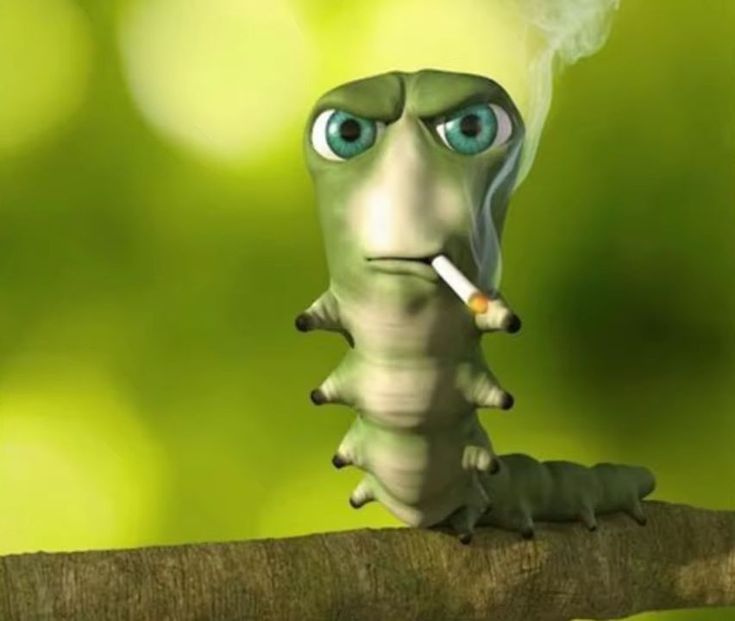:doxer: :doxer: